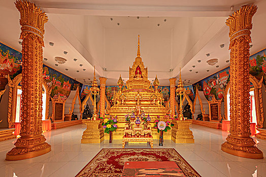 rong bach kim soi cau