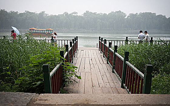 du doan soi cau wap
