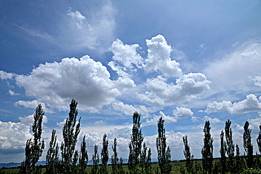 cách chơi lô