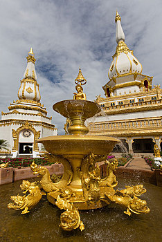 soi cau qtri