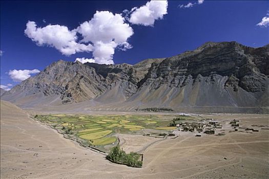 cau lo hai nhay mb