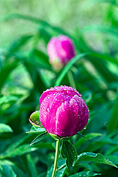 xsmb theo tuần