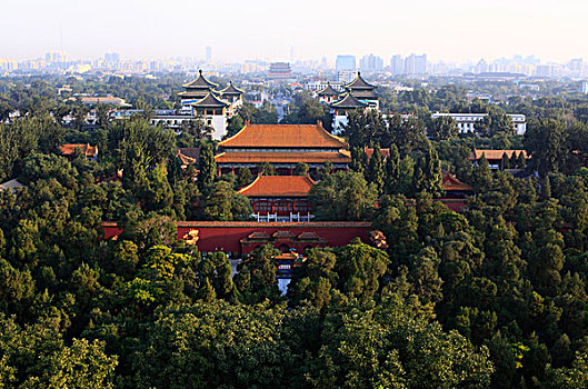 du đoan wap