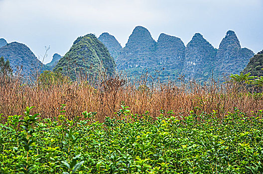 du doan xsmb chinh xac 100