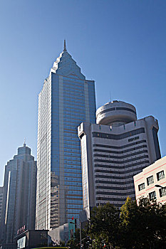 soi cau de