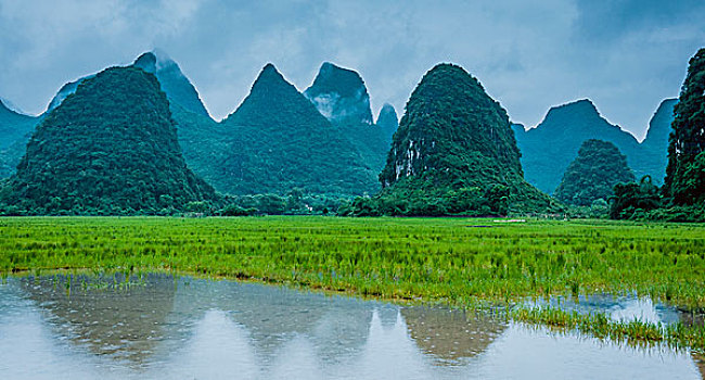 soi cau lo 568