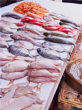 soi cầu xổ số an giang