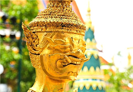 soi cau lo mien bac bach thu
