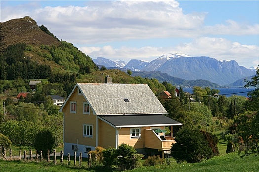 cau bach thu ngay mai