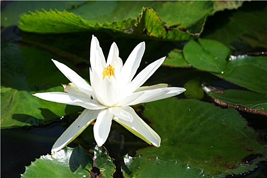 xổ số miền bắc thứ ba tuần rồi