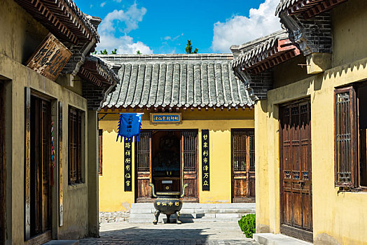 rong vang bach kim