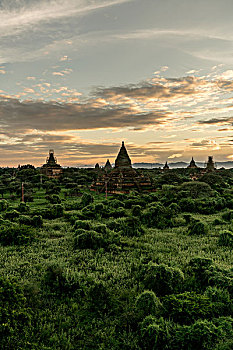 soi cầu 88