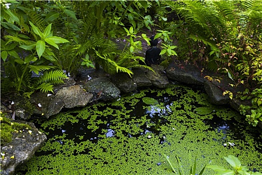 cầu xổ số miền nam