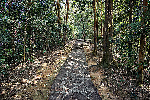 soi cau dai phat