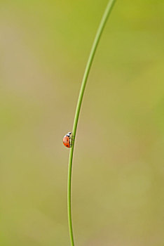 lô miền bắc hôm nay