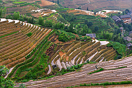 bạch thủ xsmb hôm nay