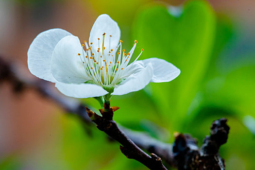 cách chơi dàn đề hiệu quả