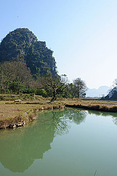 soi cau xo so