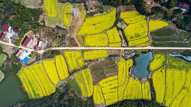 du doan lo kep