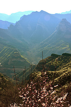 dự đoán lô tô hôm nay