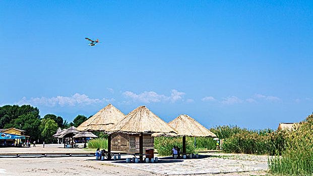 bạch thủ lô là giải mấy