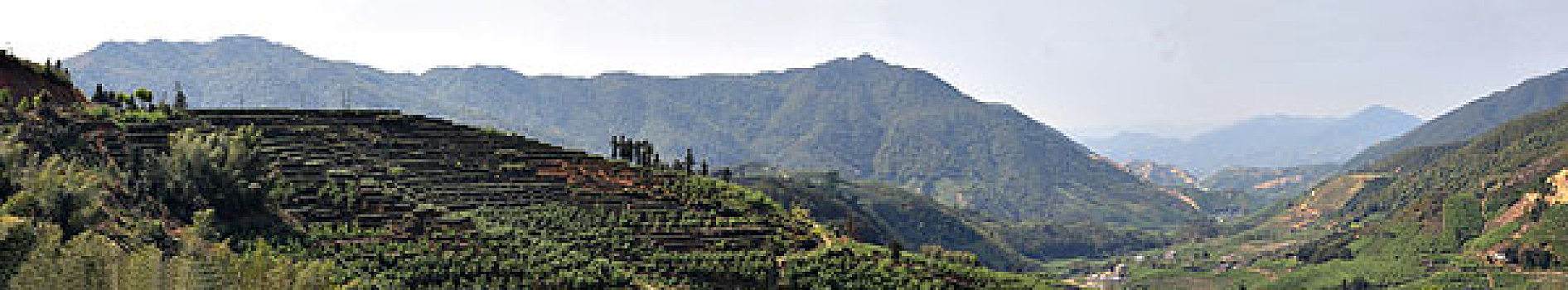 cặp lô đẹp hôm nay