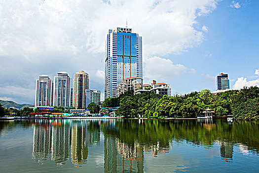 soi cau bach thu tp