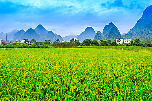 giờ vàng chốt số miền bắc ngày hôm nay