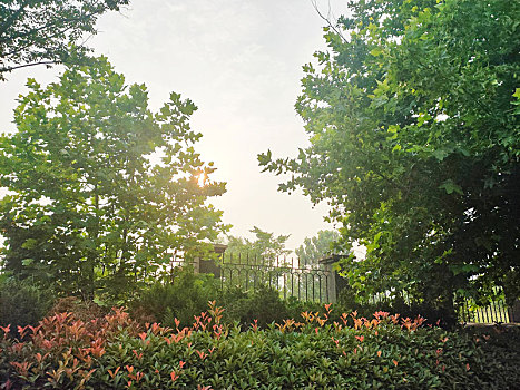 cầu bach thủ