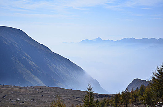 bach thu lo khung 3 ngay