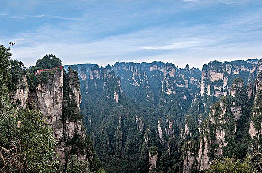 bạch thủ miền bắc