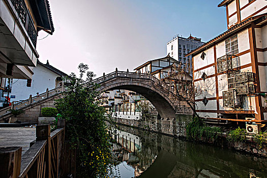 soi cau lo rong bach kim