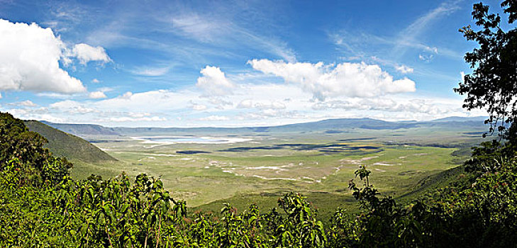 soi đề bạch thủ