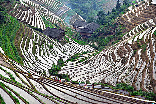 trực tiếp xổ số
