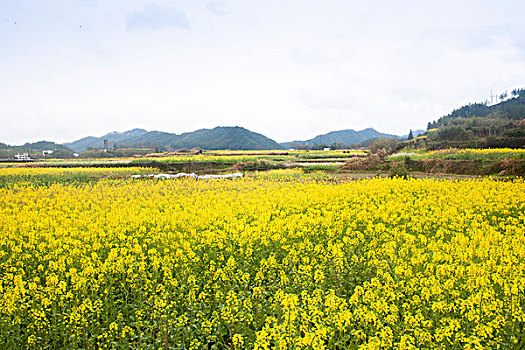 quay thử xổ số phú yên