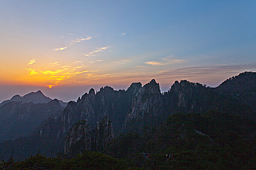soi cau bạch thu