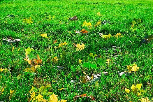 chơi lô đề trực tuyến