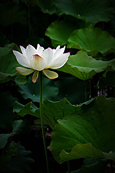 cách chơi lô trượt