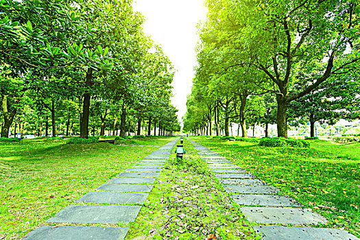 bạch thủ lo hôm nay