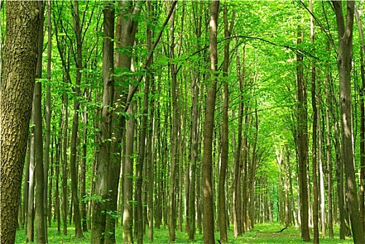 xổ số miền nam chủ nhật