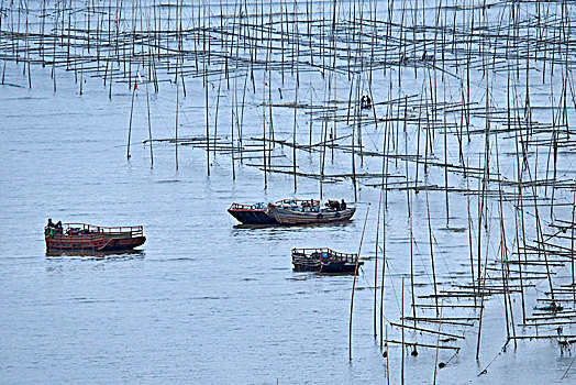 quay thử miền nam hôm nay