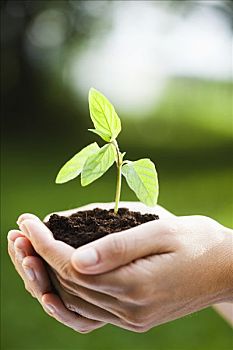 soi cầu xổ số miền bắc miễn phí ngày hôm nay