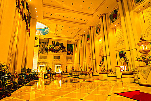 bạch thu lo de
