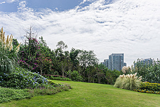 rong bạch kim