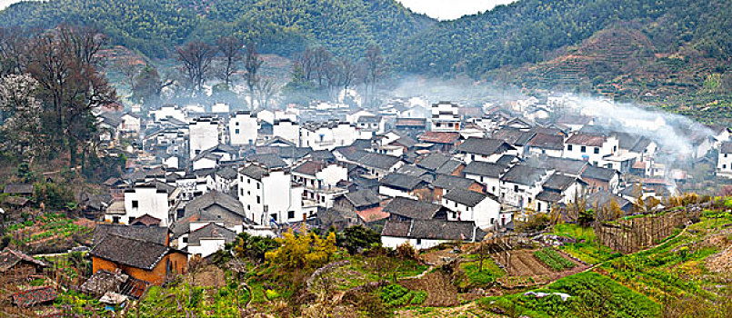 xsmb rong bach kim