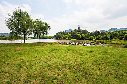 bạch thủ đề ngày mai