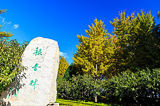xô sô miên bắc