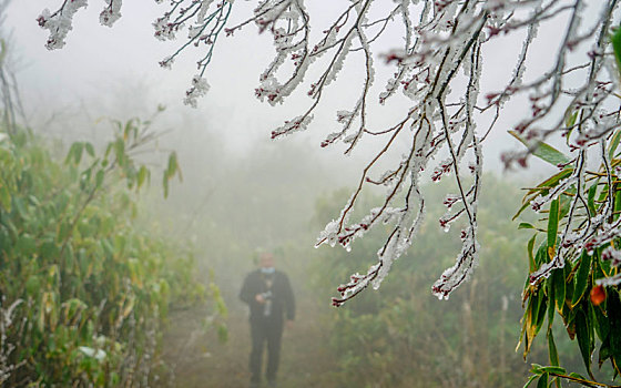 soi cầu ngày hôm nay