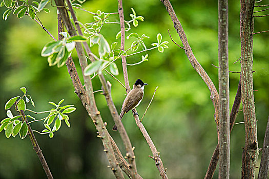 dự đoán lô đề ngày mai