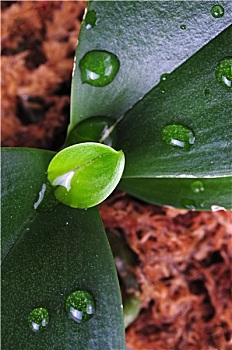 đánh đề trên mạng uy tín